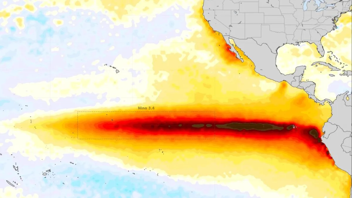 Pico do El Niño: nova previsão da ONU aponta quando fenômeno atingirá força máxima em 2026