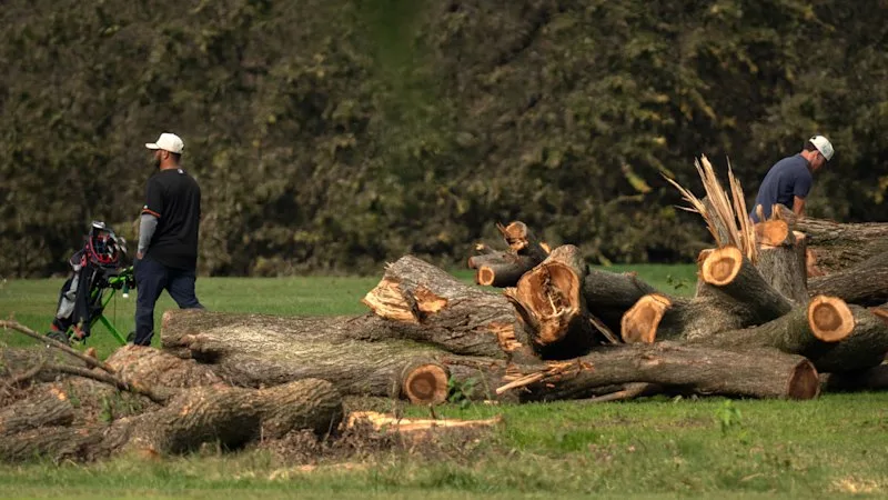 Judge orders Trump administration to answer for tree removals at Washington golf course