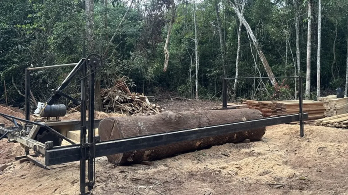 PF destrói acampamento de extração ilegal de madeira em Terra Indígena de RO