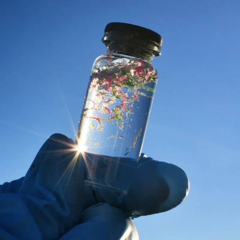 Actualité : Des scientifiques tchèques mettent au point des essaims de microrobots capables d'éliminer jusqu'à 94 % des microplastiques présents dans l'eau et 81 % dans le sol