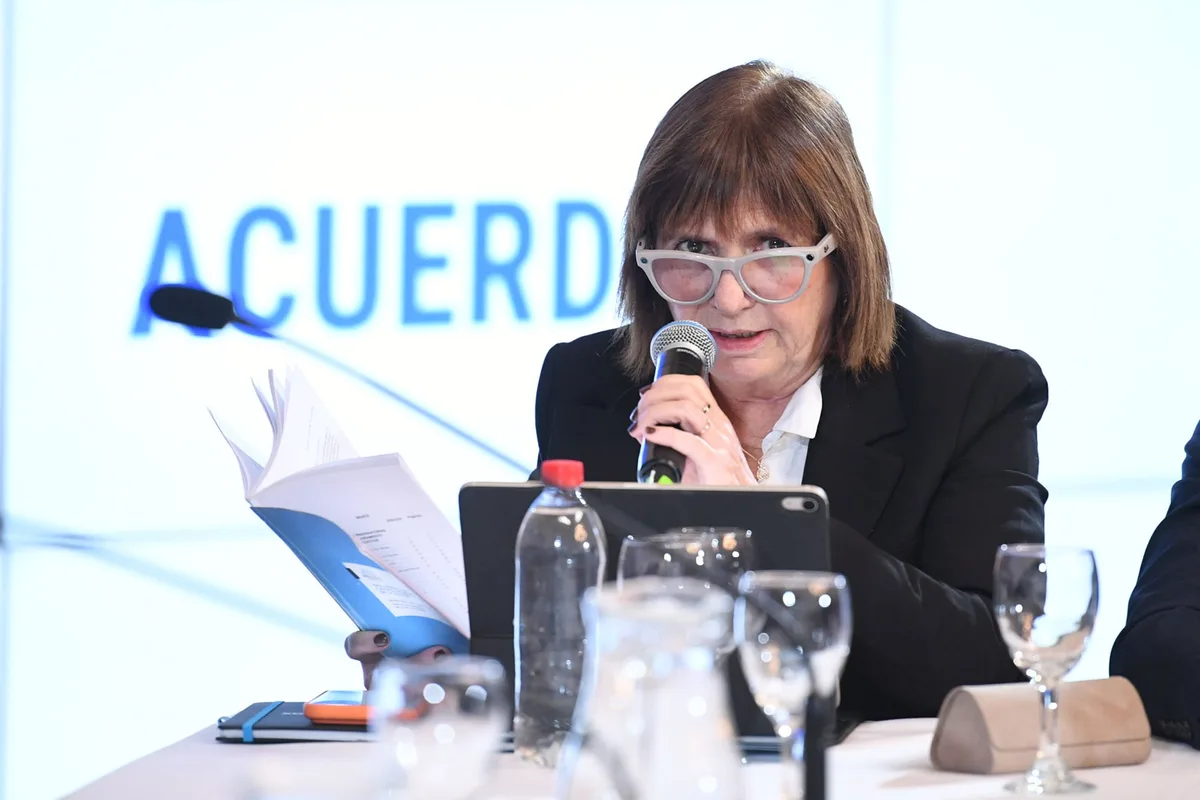 Semana clave para la estrategia judicial del Gobierno: Bullrich tiene 53 pliegos listos para tratar el jueves en el Senado