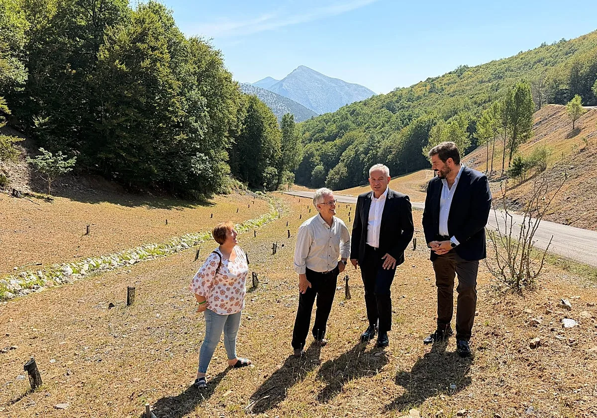 Un paisaje más verde para las antiguas minas de Velilla