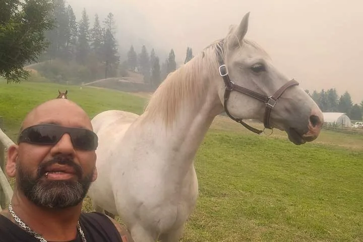Summerland wildfire livestock ‘hero’ stopped after breaking the rules