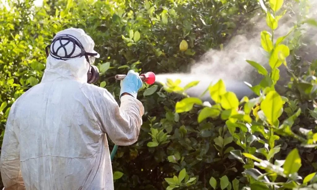TCE-AC determina que Idaf implemente sistema para rastrear embalagens de agrotóxicos