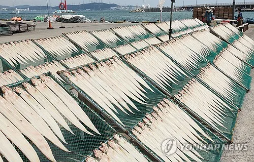 '고소한 붕장어 맛보세요'…부산 기장붕장어축제 16일 개막