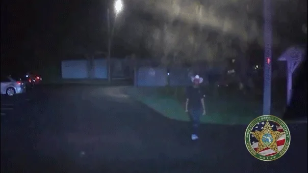 Florida deputies taser sword-wielding burglary suspect, video shows