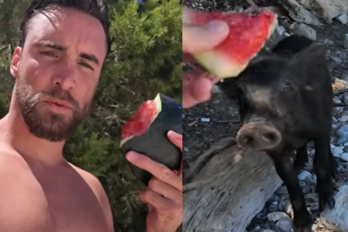 Nico Tagliafico y su pelea con un cerdo salvaje en plenas vacaciones: “No me llegó a agarrar, pero me lo pisoteó”