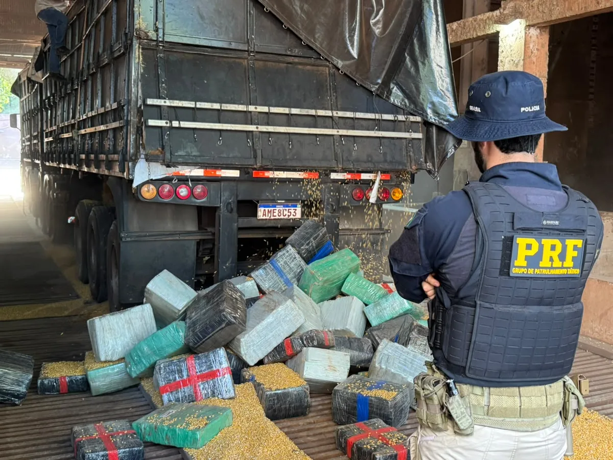Carga de milho esconde 5,2 toneladas de maconha em rodotrem