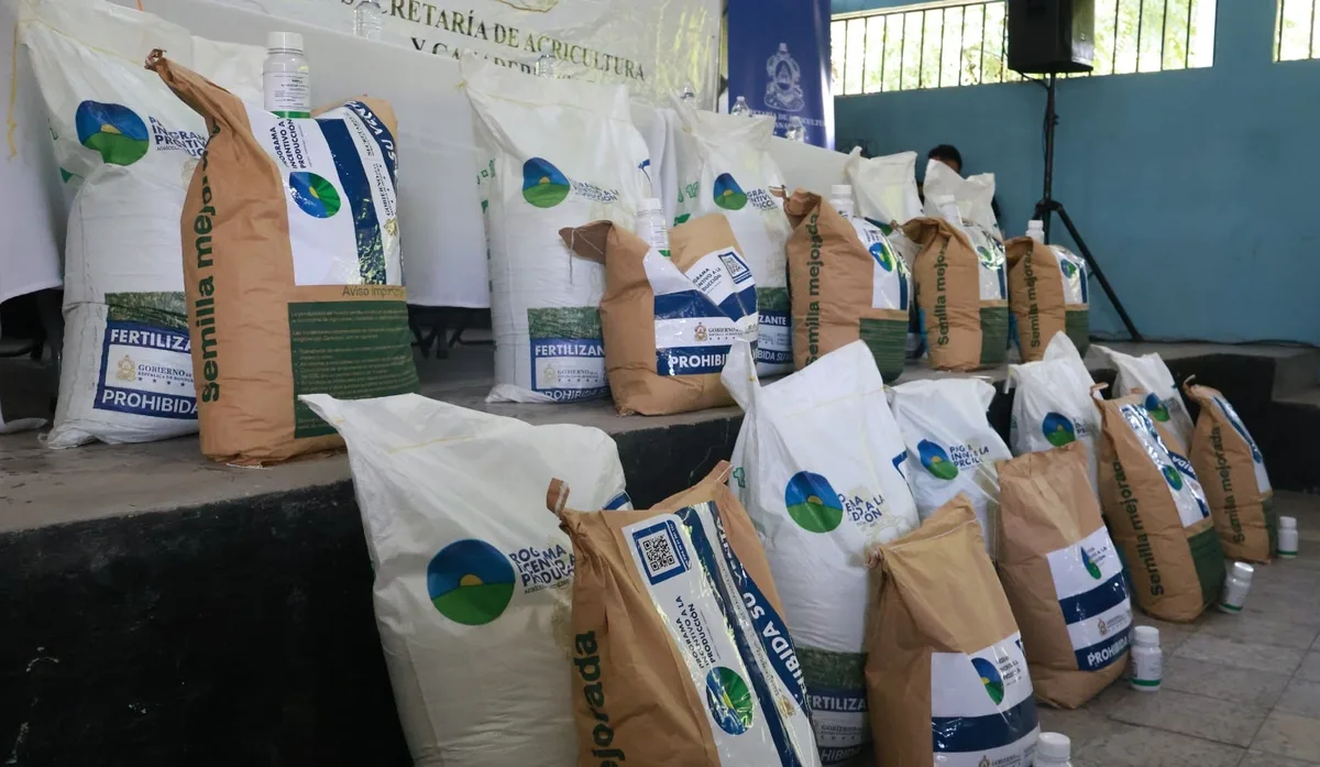 Honduras distribuye 100 mil paquetes agrícolas para impulsar la producción de frijol ante el riesgo de sequía