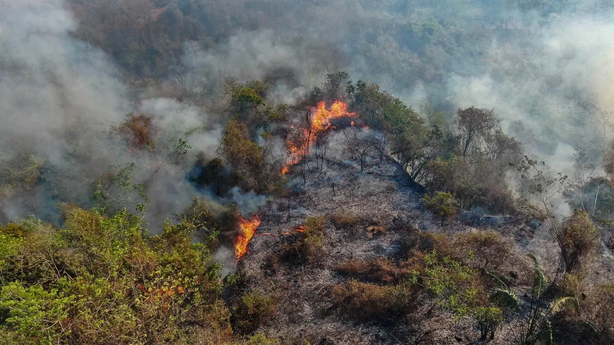 Incendios forestales en Tolima: estas son las cuatro zonas donde trabajan más de 300 personas para controlar el fuego