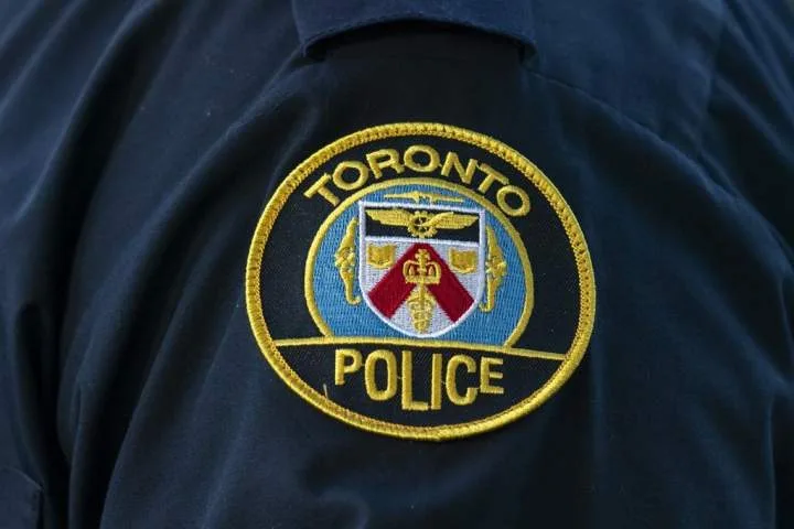 Section of Dundas Street closes in downtown after large tree falls