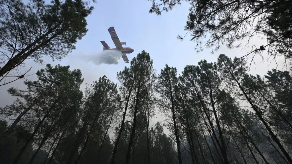 Incendie dans les Landes : 1 580 hectares brûlés après une reprise de feu dans la nuit