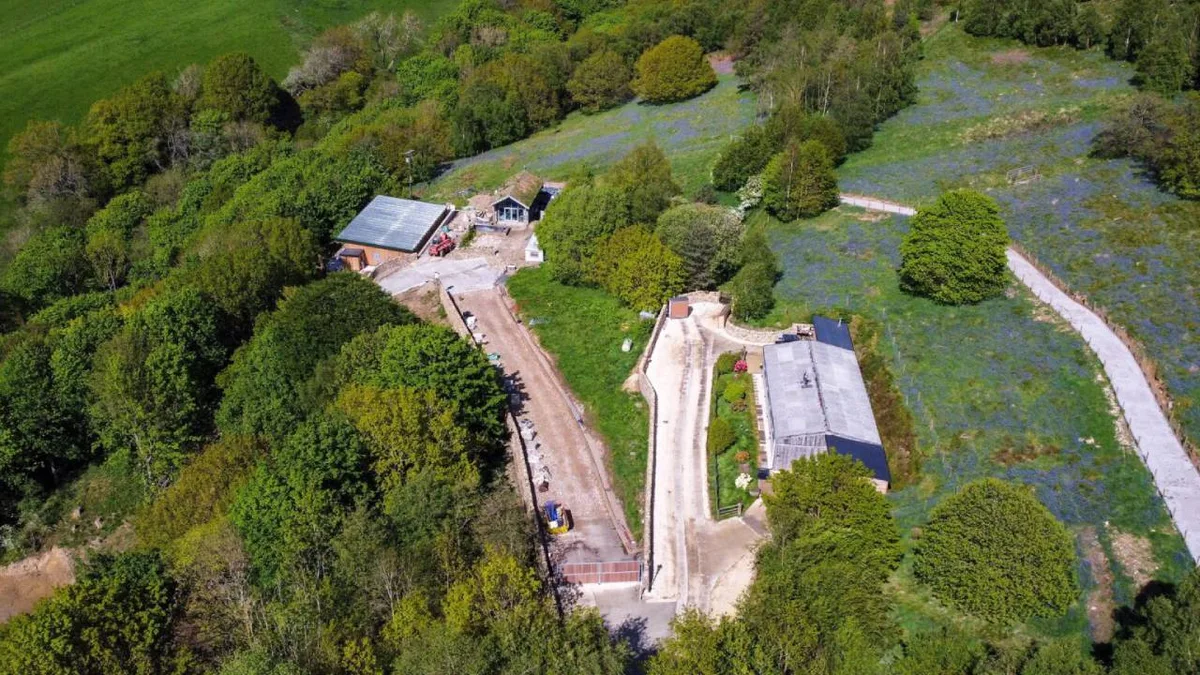 Turkish firm ordered to tear down holiday homes built in 500-year-old woodland