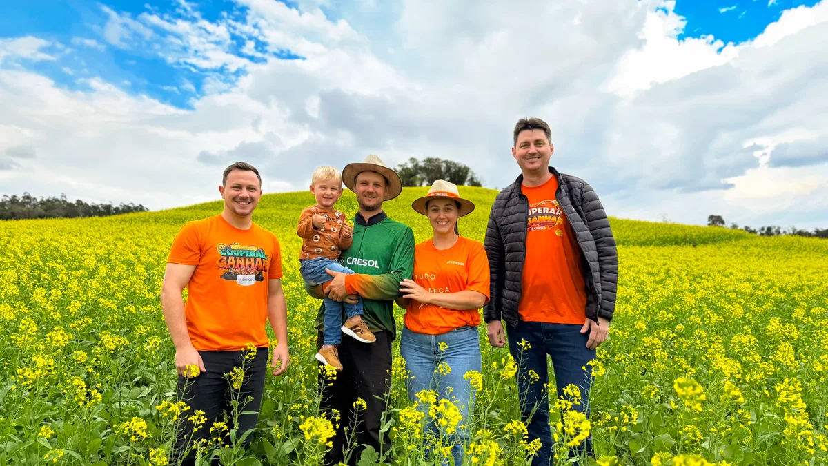 Plano Safra apoia cultivo de canola e amplia as alternativas de produção