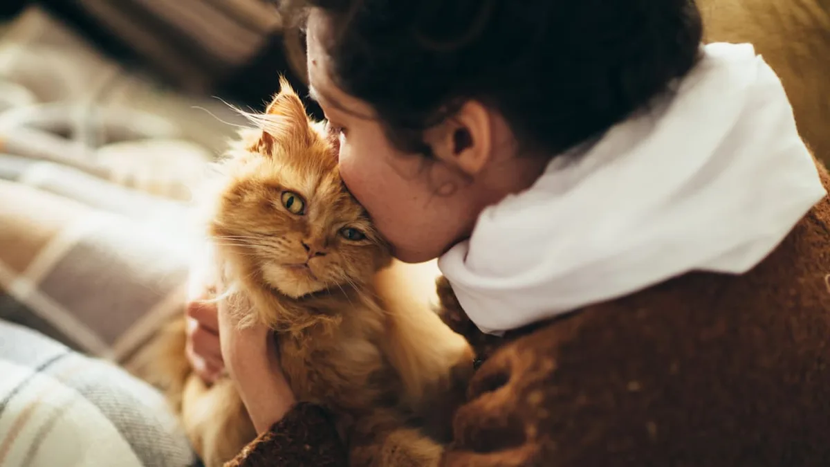 Expertin verrät - 6 Tipps, wie Katzen lernen, Sie zu mögen