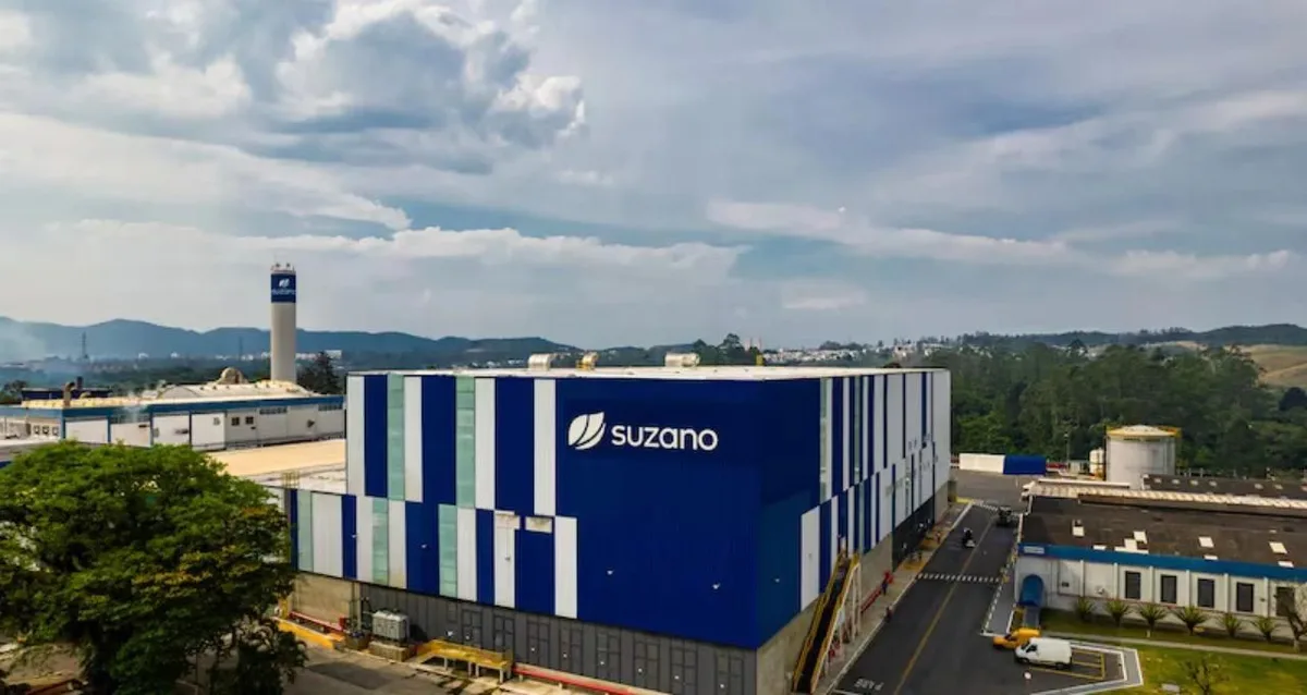Suzano (SUZB3) tem lucro líquido de R$ 1,8 bilhão no 2T26, queda de 64%; Ebitda recua 23%
