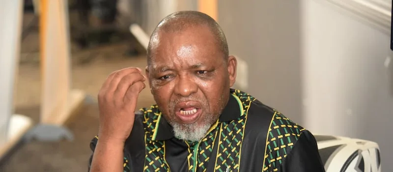 ANCWL demands disciplinary action against Mantashe over sex-for-jobs remarks