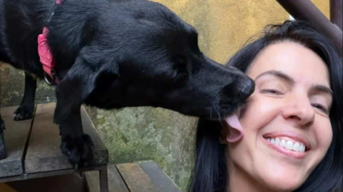 Rapel, cão resgatado de encosta na Zona Sul do Rio, ganha lar temporário: 'receber carinho e ser bem cuidado', diz tutora