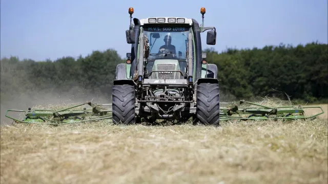 Açores: Federação Agrícola diz que proposta para 2027 é "pior em 20 anos"