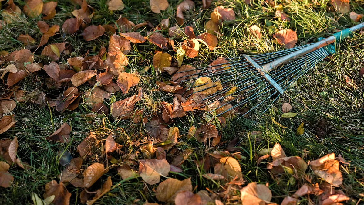 Bloß nicht alles wegfegen - Laub im Garten kann richtig wertvoll sein