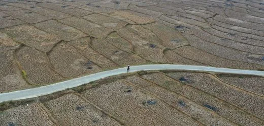 El Niño könnte zu 450.000 zusätzlichen Hitzetoten führen