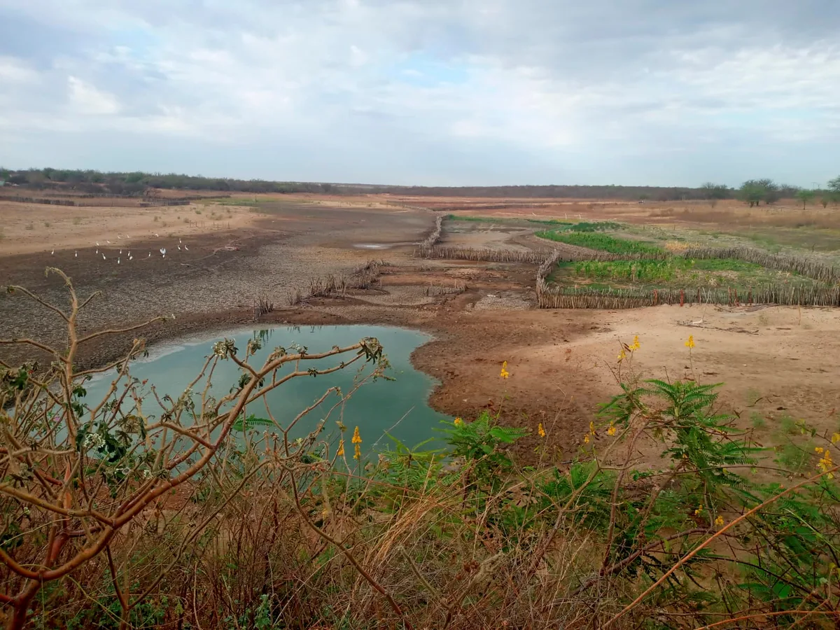 El Niño: veja o que governos e cidadãos podem fazer para reduzir impactos