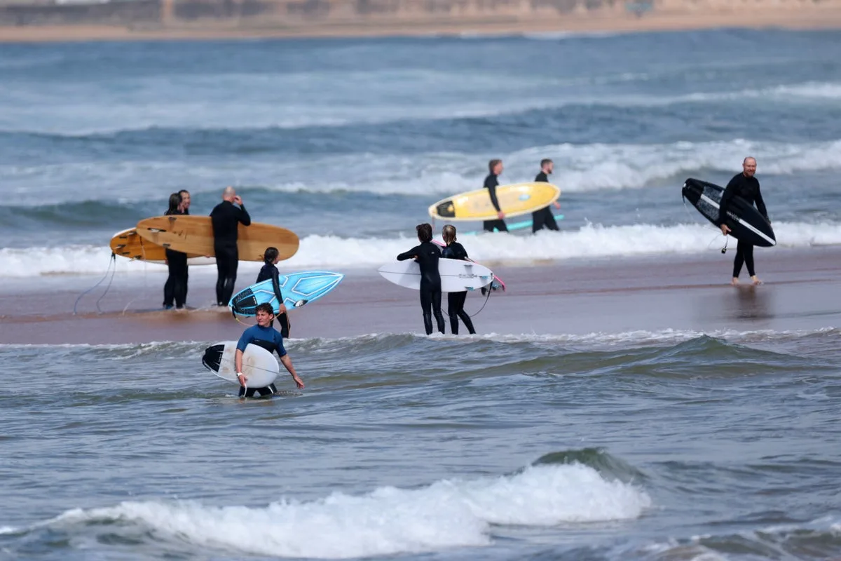 Surfer seriously injured after shark attack at Australian beach that ‘felt very safe’