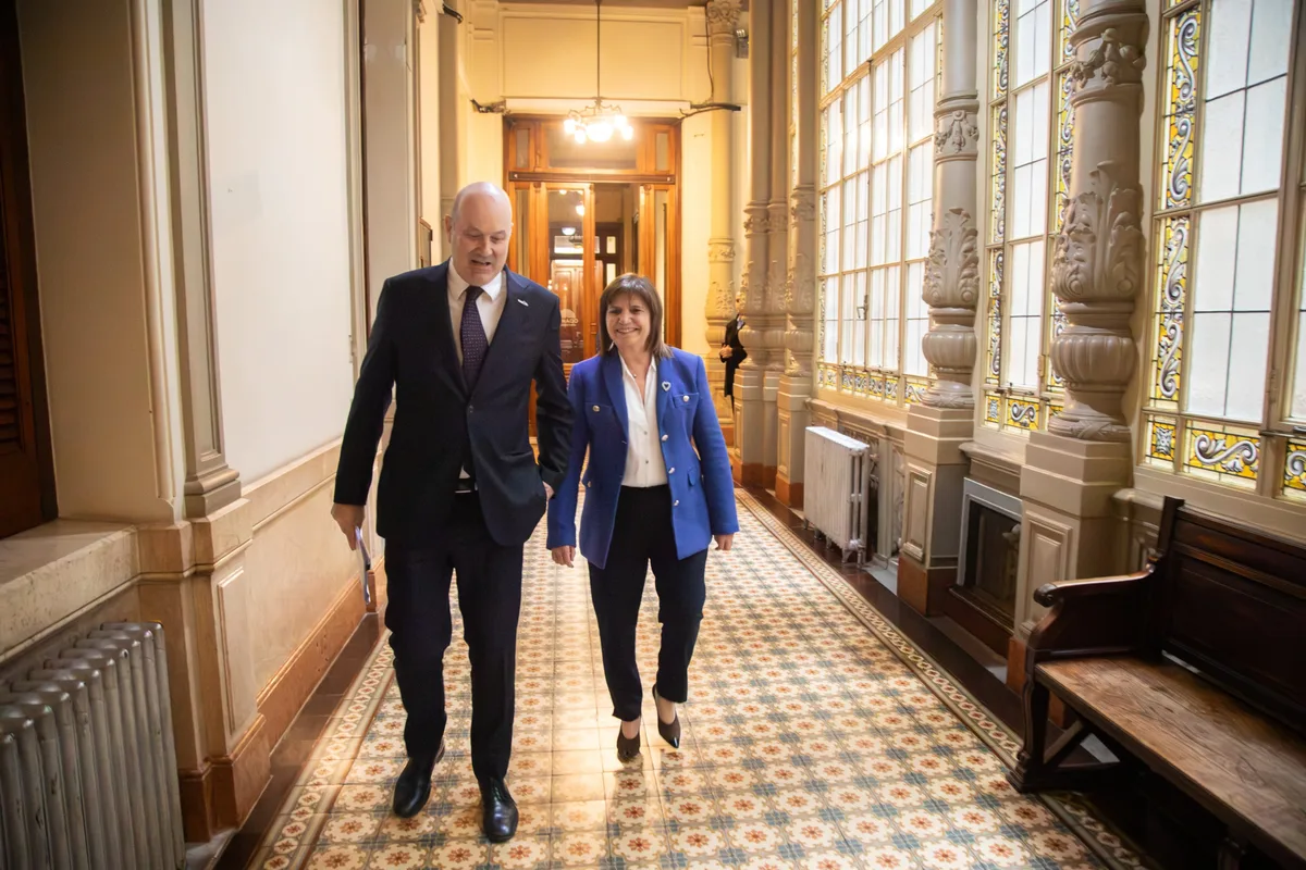 El proyecto de Sturzenegger que Bullrich busca destrabar: los cambios en las sociedades automatizadas