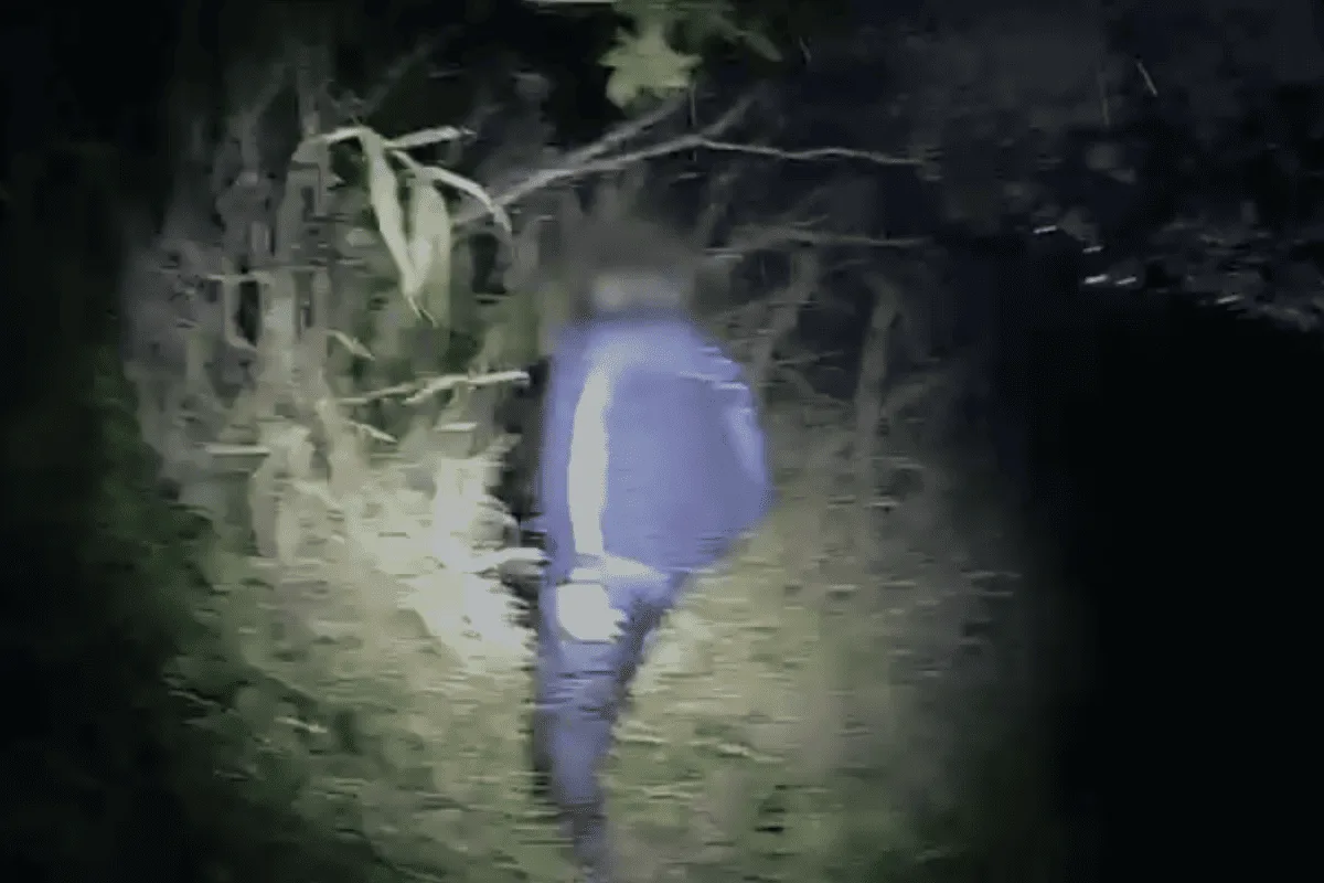 Menino de 6 anos desaparecido é encontrado na mata pela Polícia Militar