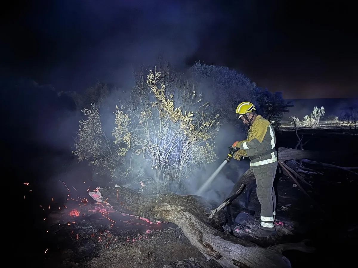 El incendio en Aldea del Fresno presenta una "evolución positiva" durante la noche