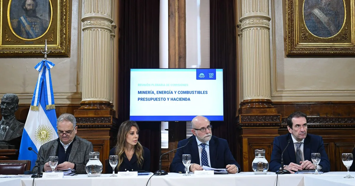 Un guiño a Salta: Flavia Royón presidirá la comisión de energía y minería del Senado