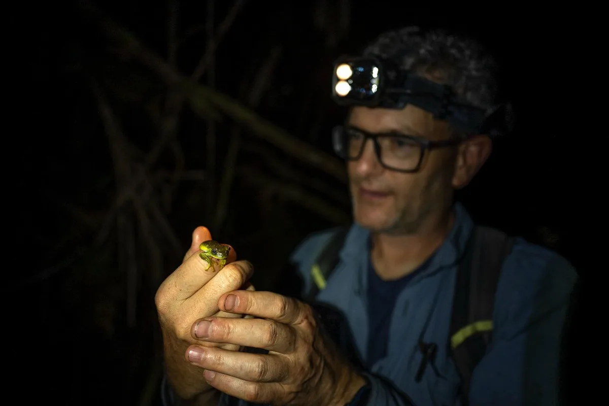 Insetos de dia, anfíbios à noite: a rotina de uma expedição científica na Amazônia