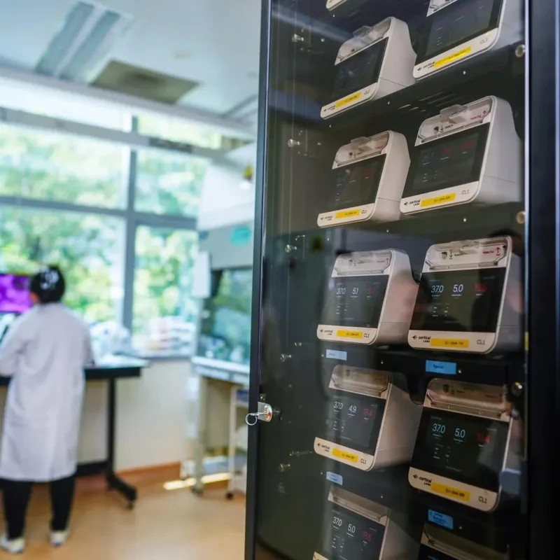 Actualité : Nourris tous les trois jours : ce serveur fonctionne avec… 16 millions de neurones humains vivants
