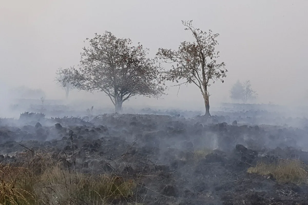 Dos muertos en Grecia y un incendio récord en Bélgica avanza hacia la frontera con Alemania