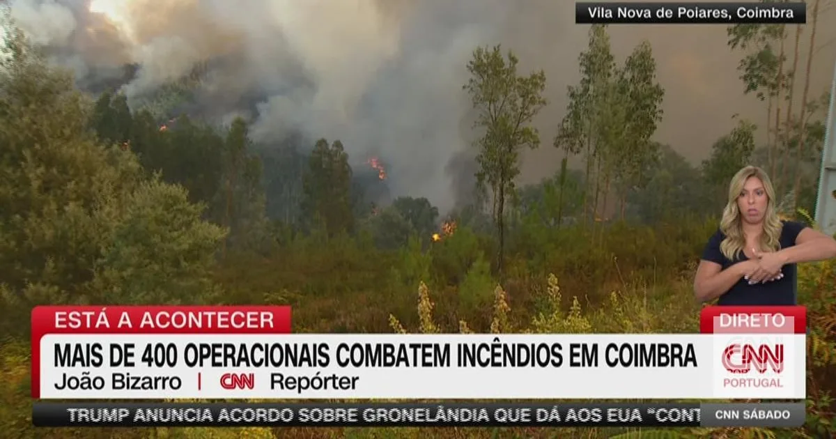 São "sete anos de mato a arder": moradores de Vila Nova de Poiares "aflitos" com fogo "completamente descontrolado"