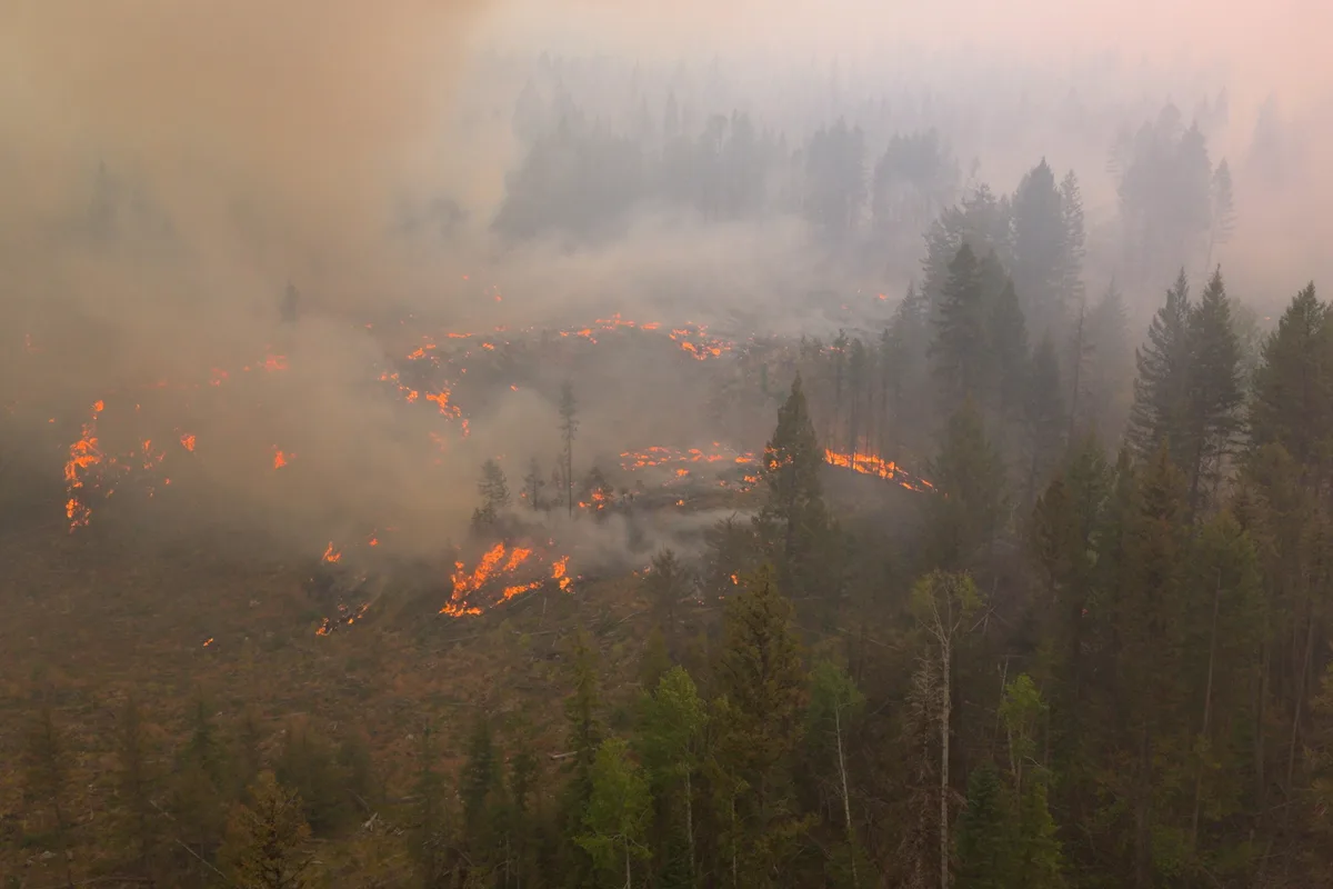‘Wildfires are resulting in tragedies and profound losses … while those producing and selling fossil fuels prosper.’ Letters to the editor for Aug. 22