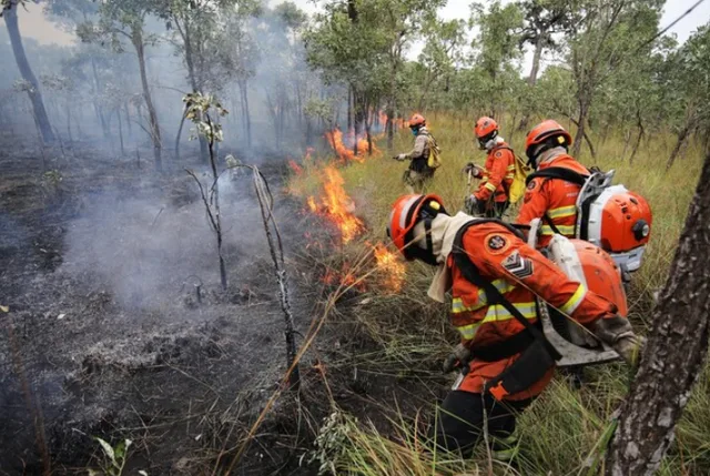 Área queimada recua, mas período crítico para incêndios preocupa em MS