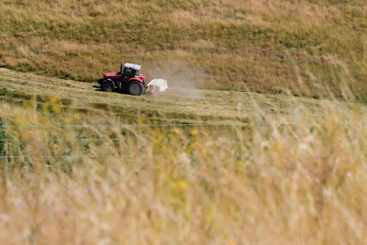 Les agriculteurs face à une sécheresse historique : « C’est un crève-cœur de voir les cultures dépérir »