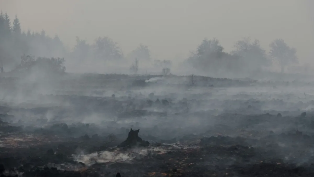Drohende Gesundheitsgefahr durch Brand im Hohen Venn für Anwohner