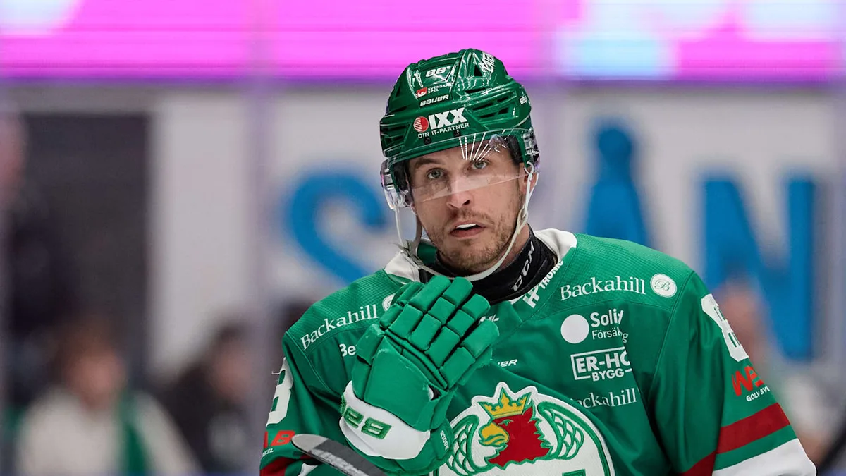 Vorm Saisonstart - Eisbären holen NHL-Verteidiger