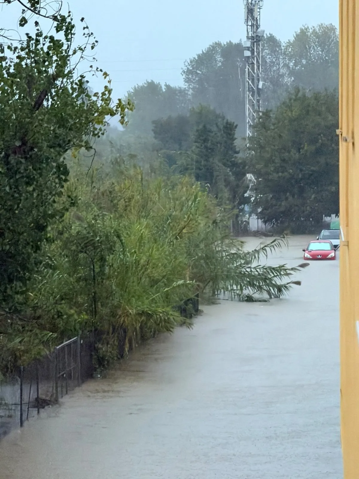 VÍDEO: C. Valenciana prepara orden de confinamiento para el litoral sur de Valencia y norte de Alicante por las lluvias