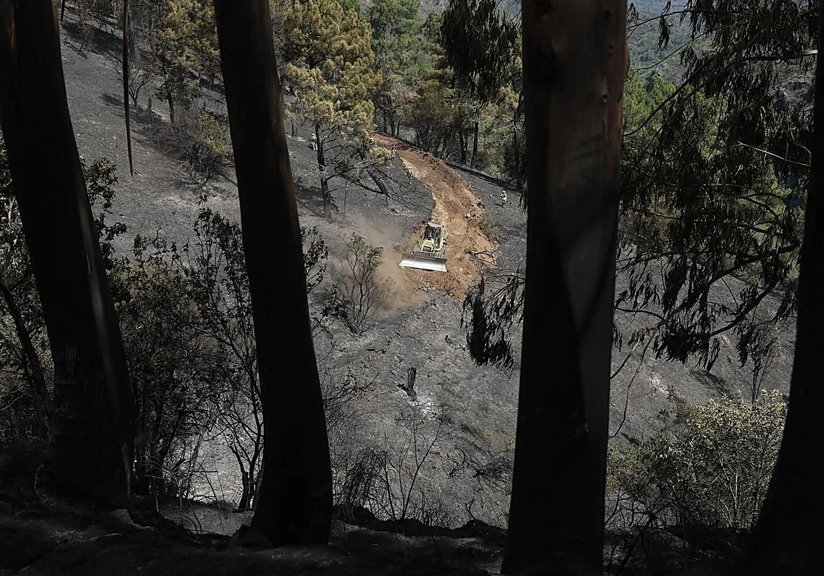 Estabilizado el incendio de Quiroga (Lugo) tras arrasar 420 hectáreas