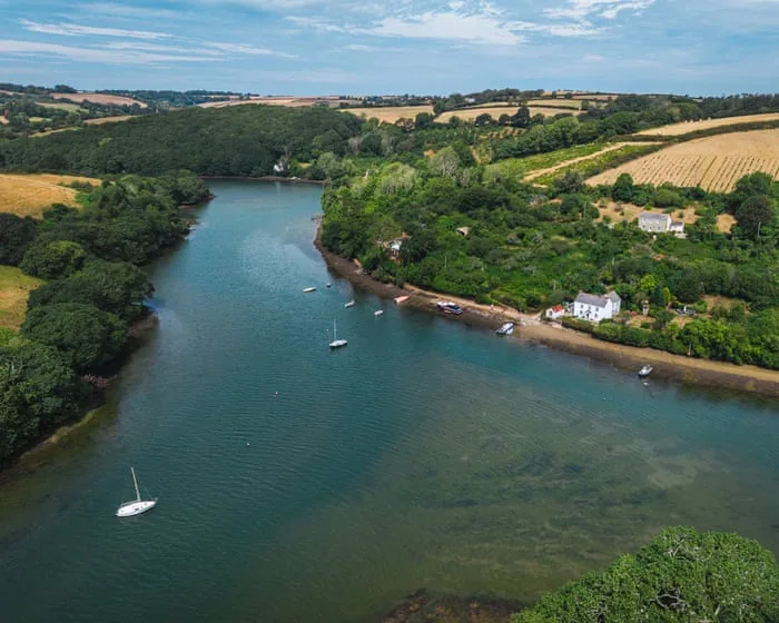 ‘Small changes can make a big difference’: how getting farmers, fishers and beavers together could save a Cornish river