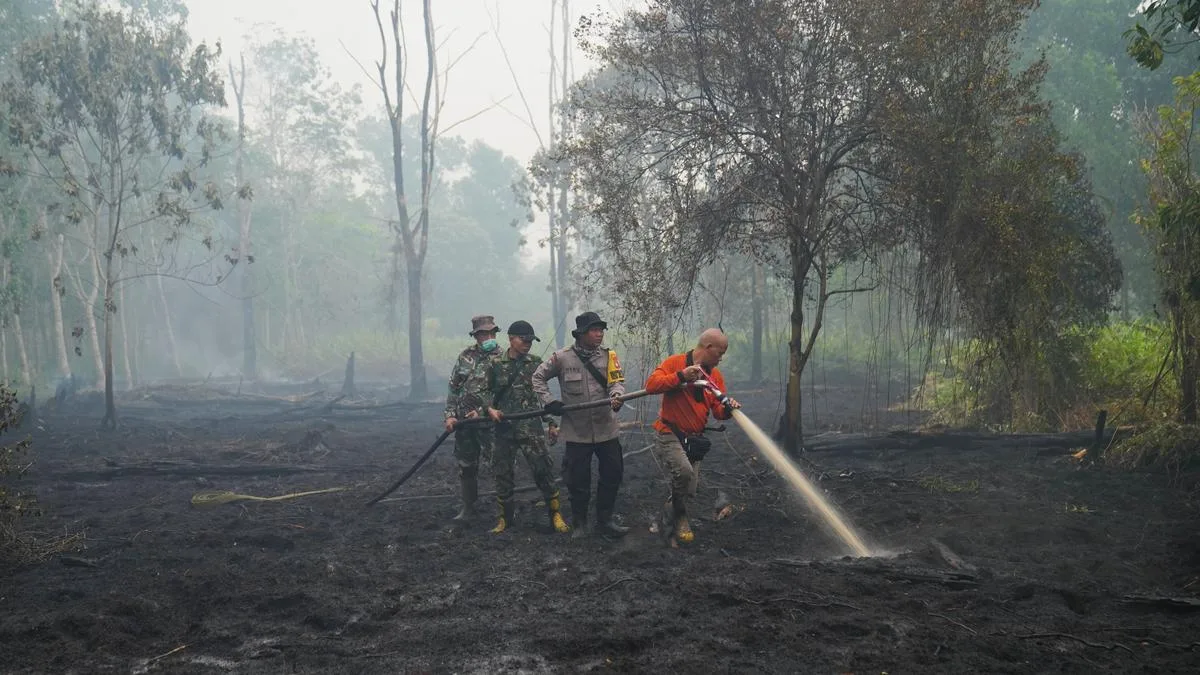 ‘Super El Niño’ projected to cause 15,800 additional heat deaths in India, says report