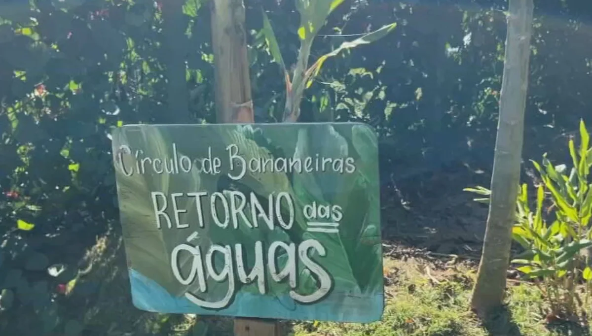 Tem Solução: agroecologia e reflorestamento transformam paisagens e ajudam a preservar a natureza no interior de SP