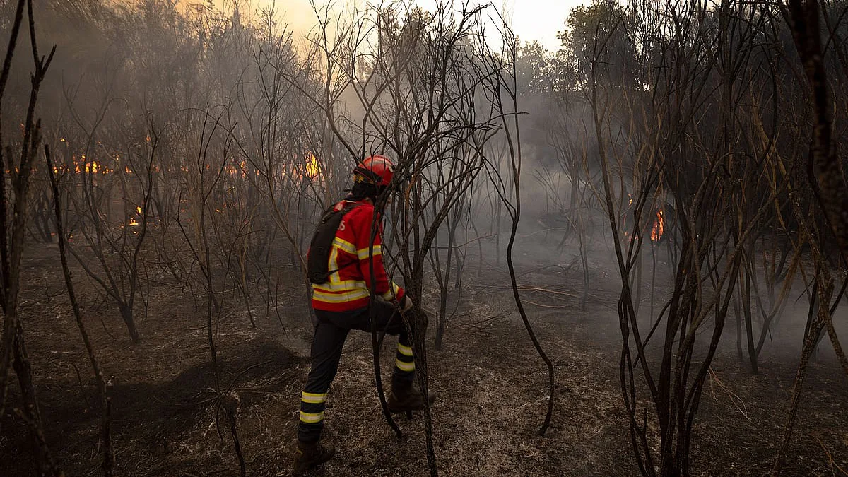 Mais de 750 bombeiros combatem quatro incêndios no norte do país e meios aéreos vão ser reforçados