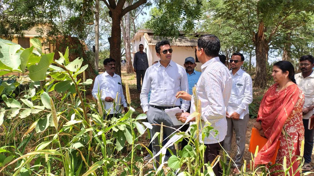 Collector directs officials to prepare action plan to boost silkworm cultivation