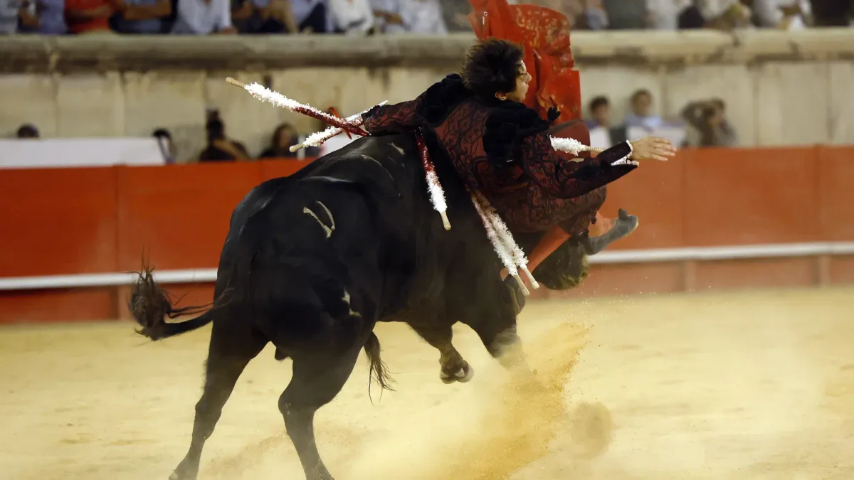 Las secuelas en la cara de la grave cogida que ha sufrido Andrés Roca Rey en Nimes