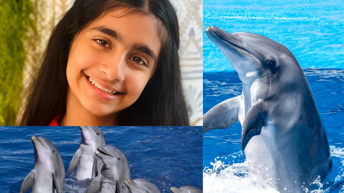 Ishanvi Sakharpe builds Dolphin Guard to protect Dolphins from human threats