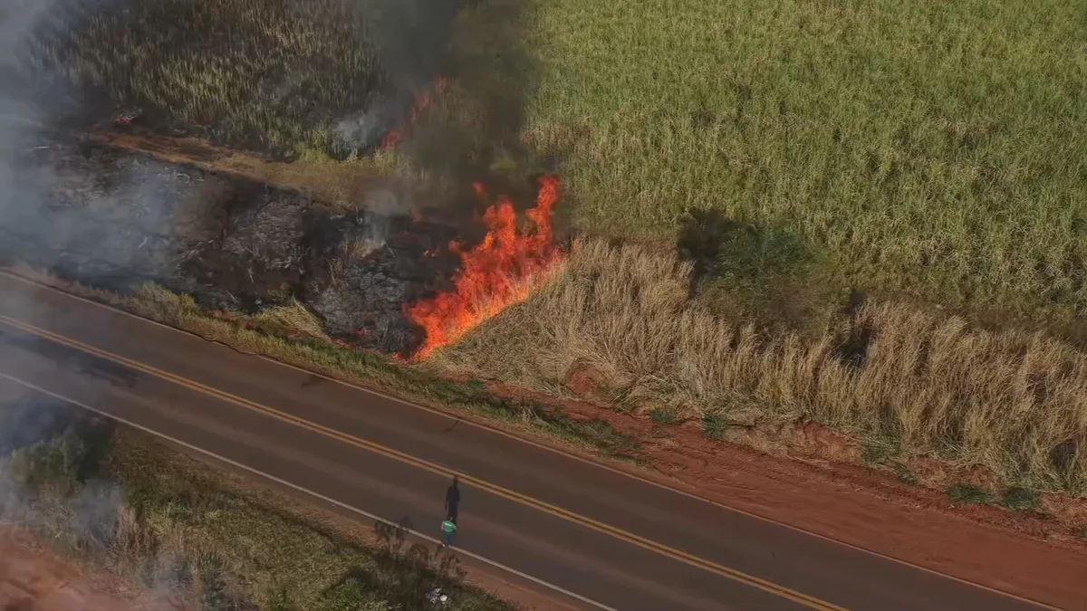 Incêndio destrói mais de 90 hectares de canavial e fumaça atinge área urbana de Lins